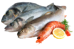 Handling Fish and Shellfish